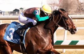 Updated Preakness Stakes 2019 Odds And Analysis