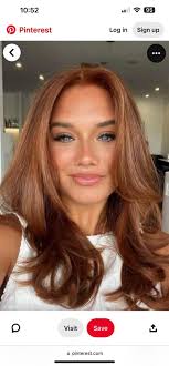 Can someone make my hair more brown in this photo?