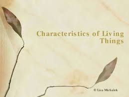 This Characteristics Of Living Things Powerpoint Presentation Has 17 Slides And Characteristics Of Living Things Powerpoint Presentation Education Lesson Plans