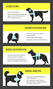Ptsd service dog training manual 2021. How To Get A Service Dog A Complete Guide Gallant