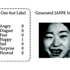 PDF) Unsupervised Domain Adaptation for Facial Expression Recognition Using  Generative Adversarial Networks