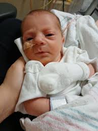 Favorite kits for a 4.5 year old?! We have the Little Genius Starter  bundle!