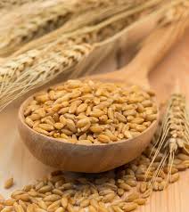 Drinking barley water is a great natural remedy for urinary tract infections (utis). 25 Best Benefits Of Barley Jau For Health Skin And Hair