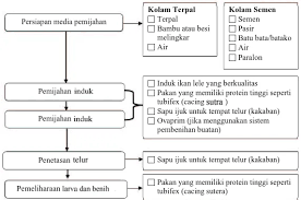 Menurut effendi (2004), kegiatan pembenihan meliputi persiapan sarana dan prasarana, pemeliharaan induk, pemijahan induk, penetasan telur, pemeliharaan larva dan benih. Bab 3 Budidaya Pembenihan Ikan Konsumsi
