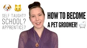 Both options will involve gaining practical experience under supervision. How To Become A Pet Groomer Pet Grooming Career Youtube