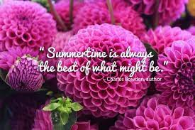 Maybe you would like to learn more about one of these? 14 Summer Quotes That Are As Beautiful As The Season Orchid Republic