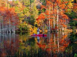 Dbht can be accessed from four different trailheads, allowing for shorter hikes. A Fall Retreat At Beavers Bend Travelok Com Oklahoma S Official Travel Tourism Site
