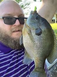 10in over a Lb seems to be the the average three years in to our backyard  pond management. With intensive management and extreme feeding we should be  14in over 2lbs In three