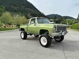 Image result for Light Blue 1976 GMC