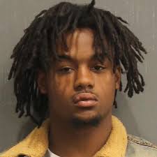 Deontay Staten and Anthony Stevenson, both 18, are charged with vehicle  theft and evading arrest after fleeing officers today in Davidson County  and traveling