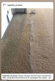 If you can't afford to wait that long, learn these methods to speed up the drying process of your carpet. This Cleaning Hack Will Leave Your Carpets Looking Brand New And All You Need Is A Squeegee Daily Mail Online