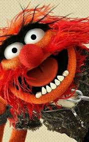 Animal Animal Muppet Muppets Sesame Street Muppets