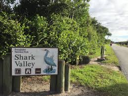 Bicycle rentals for use on the everglades bike trail at shark valley begin at 8:30 am and continue until 4 pm. Shark Valley Everglades National Park Fl Warsh Gone Wild