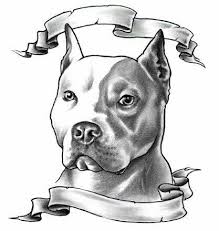 Black And White Pitbull Tattoos Pin By Patricia Carson On Pets Quotes Pitbull Art Pitbull Tattoo Pitbull Drawing