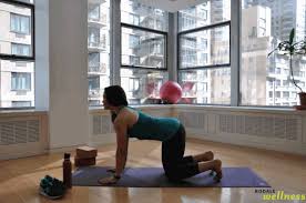Downward Dog Essential Yoga Poses Yoga Poses Yoga Images