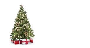 Maybe you would like to learn more about one of these? Looping Lights Decorated Xmas Tree Stock Footage Video 100 Royalty Free 31322794 Shutterstock