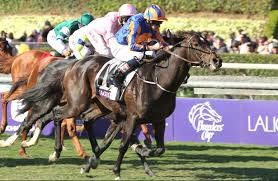 2014 Breeders Cup Turf Misconceptions