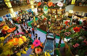 Bunga melati memang adalah bunga khas indonesia yang punya aroma halus dan warna putih mempesona. Sunway Pyramid Meraikan Sambutan Hari Raya Dengan Tema Bunga Yang Sangat Mempersonakan