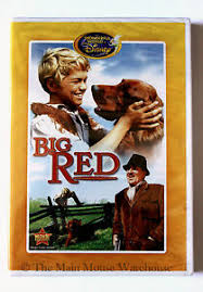 The luck of the irish. The Wonderful World Of Disney Irish Setter Dog Wilderness Movie Big Red On Dvd Ebay