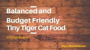 It's not available in hawaii, alaska, or other. Tiny Tiger Cat Food Review Good Nutrition On A Budget Life Cats