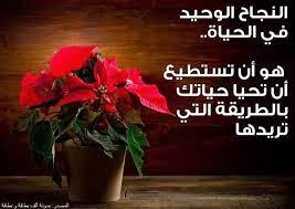 النجاح الوحيد في الحياة هو أن تستطيع أن تحيا حياتك بالطريقة التي تريدها الكلمات الدلالية صور مكتوبة صورة تحمل عبارة بطاقة مكتوبة lettering letter board