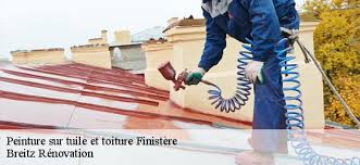Entreprise Peinture Sur Tuile Et Toiture 29 Finistere Tel 02 52 56 32 34