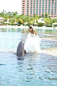Destination Weddings Wedding In The Bahamas Paradise Island Bahamas Wedding Destination Wedding Caribbean Wedding