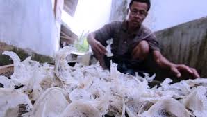 We did not find results for: Pekit Sambut Baik Dukungan Pemerintah Mendorong Ekspor Sarang Burung Walet Times Indonesia
