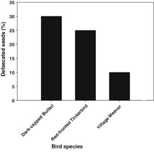 Image result for Phragmanthera dschallensis