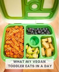 My children are not picky and love healthy food, but i've found that even picky eaters are. Sample Vegan Toddler Meals And Snacks For My 2 Year Old