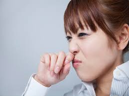 ダニアレルギー」花粉症との見分け方は? - ダニ対策グッズメーカーが解説 (2024年9月19日掲載) - ライブドアニュース