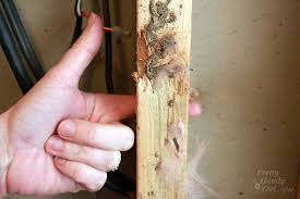 how to protect your house from termites