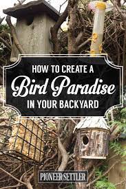 According to both crowe and nowak, planting native trees, shrubs, flowers. Pin On Homesteading Tips And Ideas