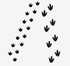 Dino Tracks Dinosaur Footprints Vinyl Wall Decals Etsy In 2021 Dinosaur Footprint Dino Tracks Vinyl Wall Decals