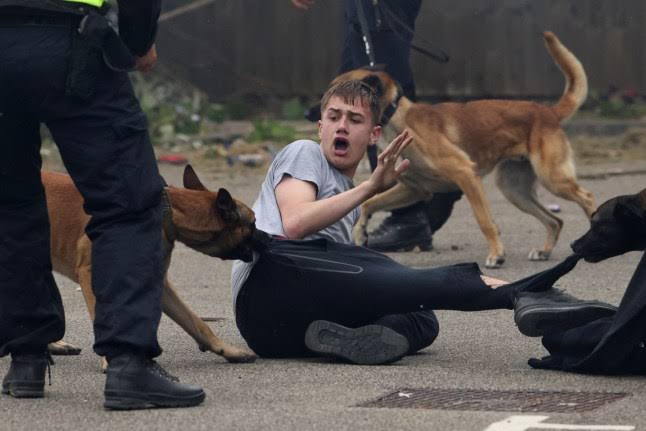 It was at this moment that rioter realised he had really messed up | News UK | Metro News