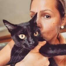 Kitten found near Peace Covenant Church