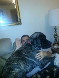 Robert E. Deter Obituary