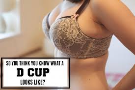 So you think you know what a D cup looks like? - Big Cup Little Cup