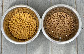 The rachael ray range is another best dog food brand. What Is The Best Food To Feed A Newfoundland Dog My Brown Newfies