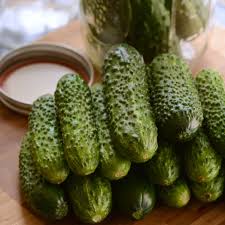 Image result for Cucumis engleri