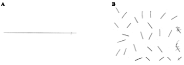 The line bisection test is a test is a quick measure to detect the presence of unilateral spatial neglect (usn). Patient S Performance On Tests Of Hemispatial Neglect A Line Download Scientific Diagram