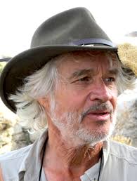 The Mean Season (1985)