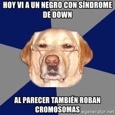 Al dividirse las células con material genético durante el desarrollo del embrión, se produce una duplicación en el cromosoma 21. Hoy Vi A Un Negro Con Sindrome De Down Al Parecer Tambien Roban Cromosomas Racist Dog 1 Meme Generator