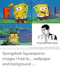 Explore spongebob wallpaper swag on wallpapersafari | find more items about spongebob. 18 Spongebob Memes For Wallpapers Factory Memes