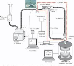 Learn vocabulary, terms and more with flashcards, games and other study tools. Figure 1 From Humidity And Inspired Oxygen Concentration During High Flow Nasal Cannula Therapy In Neonatal And Infant Lung Models Semantic Scholar