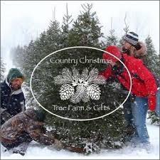 Trees in saginaw on yp.com. 2021 Michigan S Best Christmas Tree Farms Michigan Life