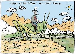 Check spelling or type a new query. 11 Climate Change Cartoons Ideas Climate Change Climates Global Warming