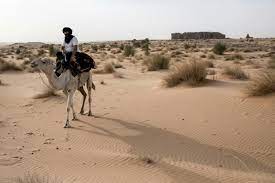 Don't forget the pronoun en as we translate 'about it' in how to say awesome in french: On A Caravan With One Of The Sahara S Last European Explorers