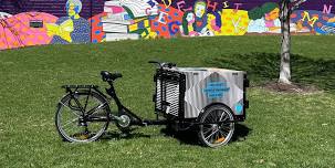 Zone 3 Mobile Cart X Rooting For You
