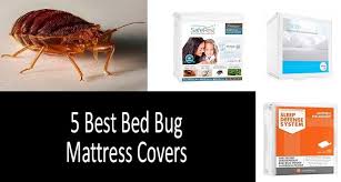 Mattress encasements are cases made of strong. Top 5 Best Bed Bug Mattress Covers Protectors Review 2021